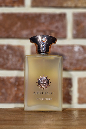 Amouage Overture Man